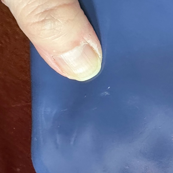 Joann Fabrics reversible canvas large tote bag detachable pouch blue bird cotton - Picture 8 of 16